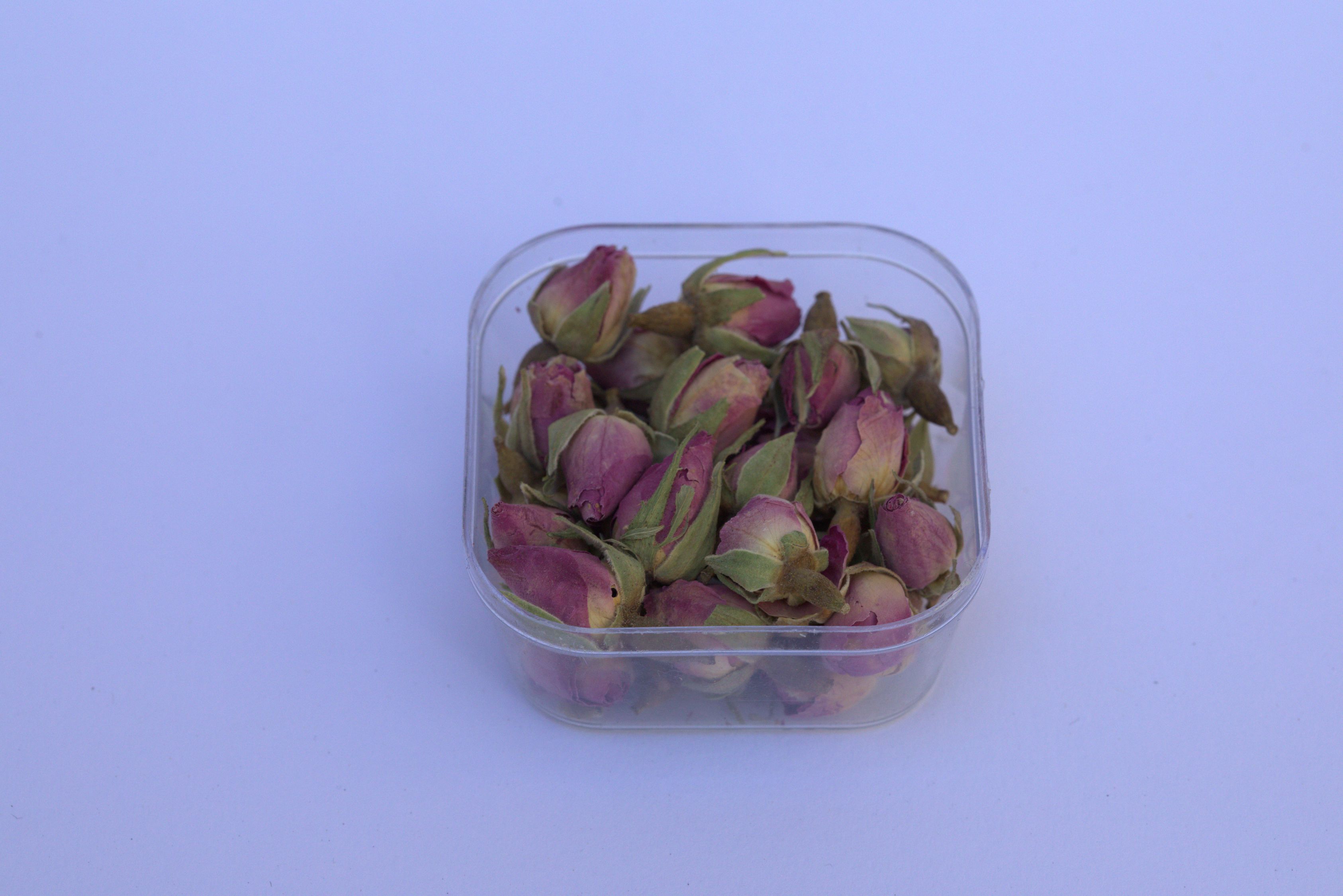 غنچه گل محمدی