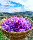 زعفران سه گرمی سوپرنگین